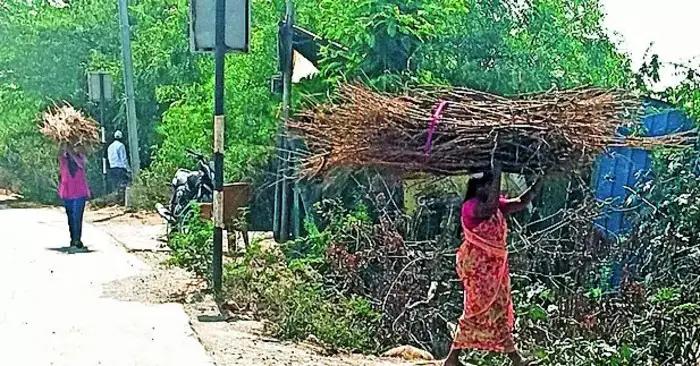 साठेबाजी रोखण्यासाठी देशात ‘एस्मा’