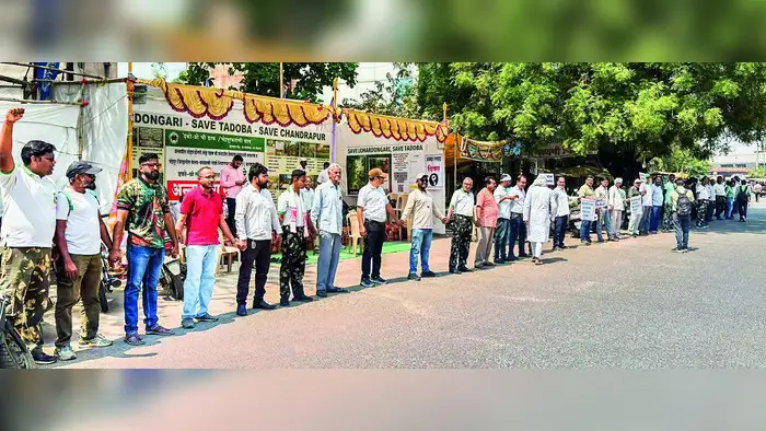 लोहारडोंगरी खाणीला तूर्त स्थगिती लोहारडोंगरी खाणीला तूर्त स्थगिती