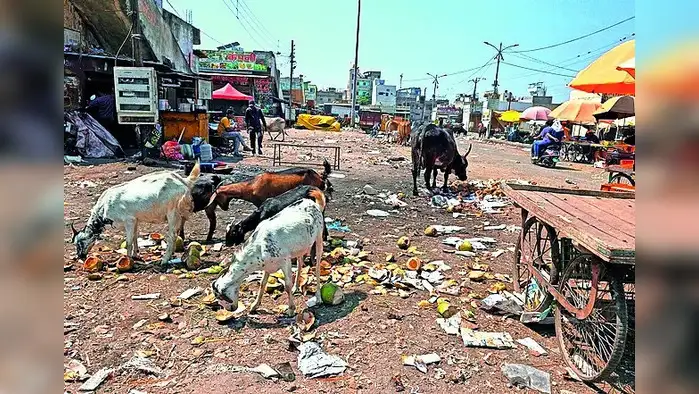 जाधववाडीत स्वच्छतेला मुहूर्त कधी? जाधववाडीत स्वच्छतेला मुहूर्त कधी?