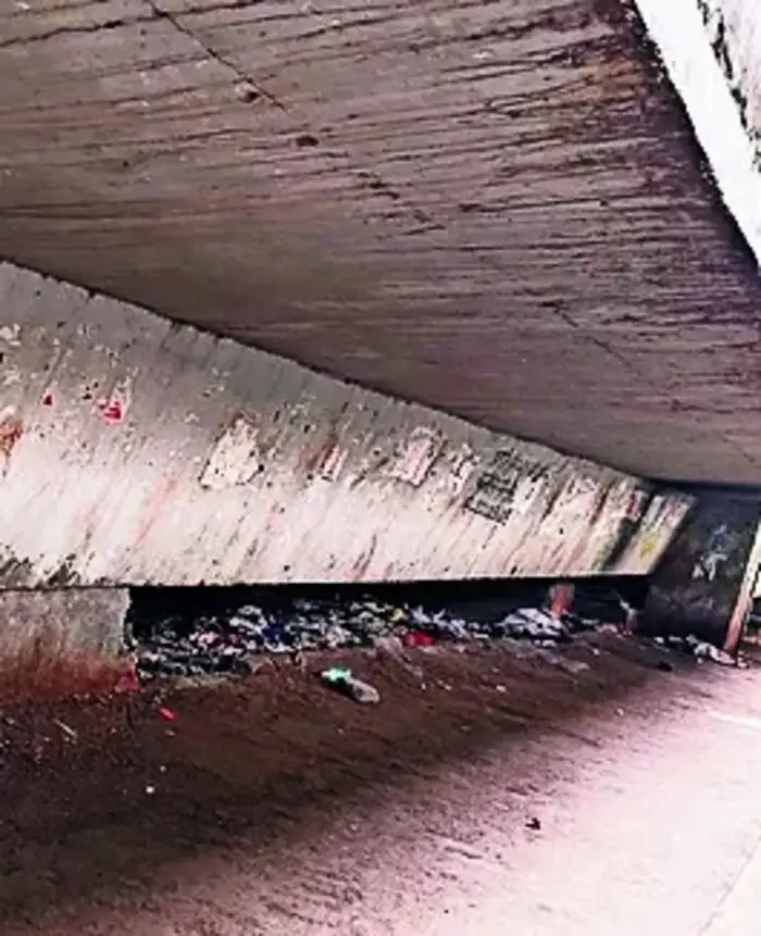 कचरा हटवावा