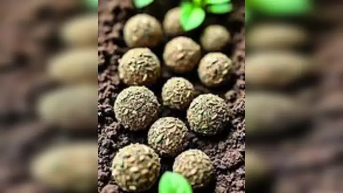 बीजसंकलन व्हावे सावधपणे बीजसंकलन व्हावे सावधपणे