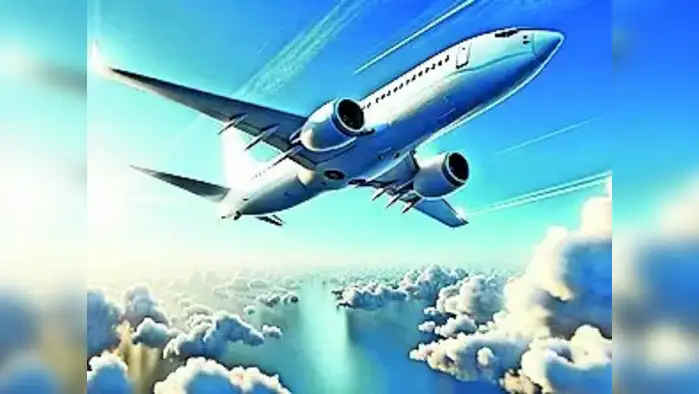 विमान प्रवासात ज्येष्ठ नागरिकाचा मृत्यू विमान प्रवासात ज्येष्ठ नागरिकाचा मृत्यू
