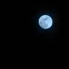 Blue Moon 2026 Will the Moon Really Turn Blue Check Date and Time in ...