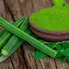Does moringa leaf powder help in weight loss digestion gas acidity and ...
