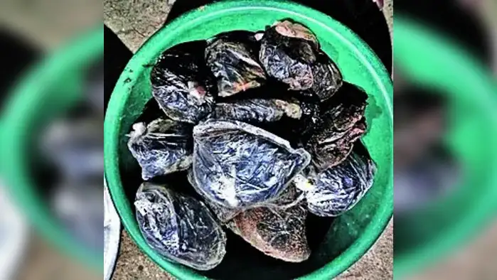 अफूतस्कर झारखंडमध्ये जेरबंद अफूतस्कर झारखंडमध्ये जेरबंद