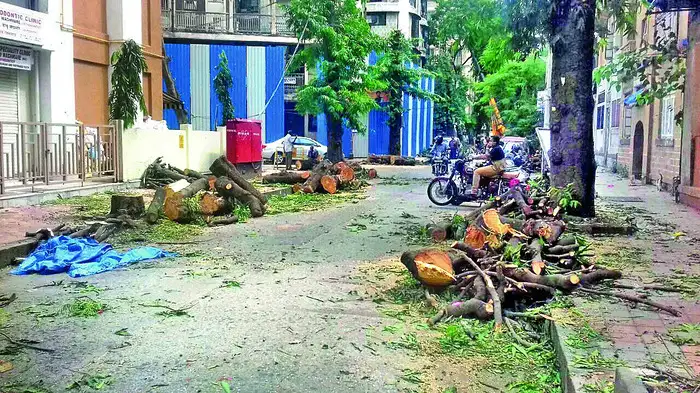 ‘वृक्षछाटणी शुल्क रद्द करा’ ‘वृक्षछाटणी शुल्क रद्द करा’