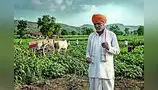 ‘कर्जमुक्ती’साठी उपसमिती ‘कर्जमुक्ती’साठी उपसमिती