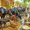 आमची गल्ली; म्हशींची गल्ली