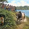 बैल बिथरला; अंगावर चालून आला