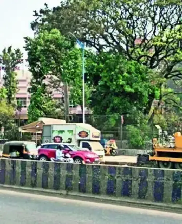 फेरीवाल्यांचे अतिक्रमण