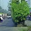 पाणी, रस्ते, कचऱ्याचा प्रश्न सुटेना