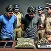 गांजा बाळगणाऱ्या विद्यार्थ्यांना अटक