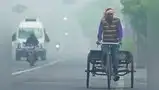 आला हिवाळा, दिल्लीतून पळा आला हिवाळा, दिल्लीतून पळा