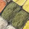 Food Prices Rise: दुष्काळाची झळ असह्य , साखर, गहू, तांदूळ, डाळींच्या दरात वाढ; दिवाळीपूर्वीच दिवाळं !