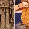 दिवाळी आधी घर असं करा साफ, लाकडी फर्निचरला लागलेली वाळवी करा क्षणात गायब