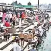 Simhastha Kumbh Mela: सिंहस्थ कुंभमेळा पार्श्वभूमीवर आठ टीएमसी पाणी आरक्षणाची मागणी; नाशिककरांच्या नजरा निर्णयाकडे खिळल्या
