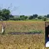 Farmer Death: दुष्काळाचा आणखी एक बळी! वैजापुरात 26 वर्षीय शेतकऱ्यानं संपवलं आयुष्य, कुटुंबाचा एकुलता एक आधार हरपला