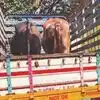 Nashik News: दावणीचे बैल विक्रीला! चाराटंचाईमुळे शेतकऱ्यांवर वेळ, गोरक्षकांच्या सतर्कतेनं जनावरांची सुटका