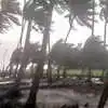 Maha Cyclone,पालघर: किनारपट्टीला जोरदार वाऱ्यासह पावसाने झोडपले - maha ...