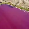 Argentina Corfo Lake Turns Pink,अरेरे! माणसाच्या लोभामुळे तलावाचा बळी ...
