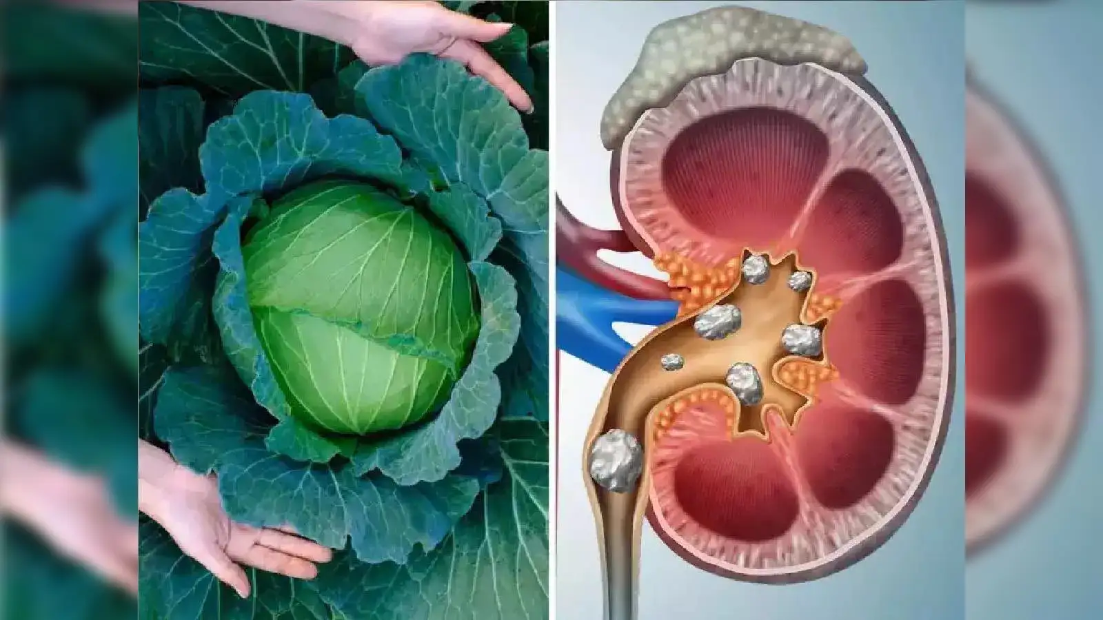 Do Not Eat These 6 Raw Vegetables; Can Upset Your Stomach | चुकूनही ...