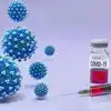 Omicron BF.7 Subvariant; करोनाची नवी लाट; बूस्टर डोसनंतर लशीचा चौथा ...