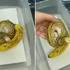 Banana Snake Video,केळ समजून उचलला साप, पुढे तरुणासोबत काय घडलं तुम्हीच ...