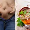 Tea For Weight Loss And Burn Body Fat Increase Metabolism,Metabolism ...