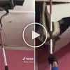 Python Fall Out From Ceiling,छतामध्ये लपला होता अजगर, काठी मारताच घडलं ...