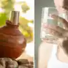 Benefits Of Drinking Water In Earthen Pot,उन्हाळ्यात माठातील पाणी अधिक ...