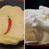 Kitchen Hacks,दुप्पट फुलणारे तांदळाचे पापड करा झटपट घरच्या घरी, नाही ...