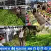 Tea Cultivation In Kishanganj,Bihar: किशनगंज की पहचान अब ‘टी सिटी’ के ...