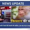 Pakistan Monkey In Court : Pakistan Court Monkey Presented As Evidence ...