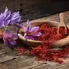 How to Plant and Grow Saffron at Home : घर में उगा सकते हैं 5 लाख रुपए ...