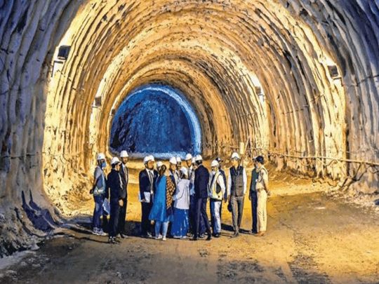 Paypoqdagi jinsiy onalar