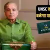 Pakistan UN Security Council,UNSC का सदस्य बनेगा पाकिस्तान? कश्मीर और ...