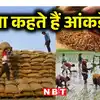 India’s foodgrain production rises by 211 lakh million tonnes in 2023 ...