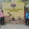 नवरात्र तक पर्यटकों के लिए खुल जाएगा रानीपुर टाइगर रिजर्व! योगी सरकार ...