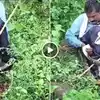 Ajgar Ne Ki Insan Ko Nigalne Ki Koshish Video,खुले में शौच कर रहे शख्स ...