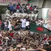 तोड़फोड़, आगजनी जारी, लेकिन उम्मीद भी जगी... जानिए दिल्ली में रह रहे ...