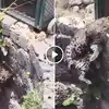 Leopard Rescue Viral Video,कुएं में गिर गया था तेंदुआ, वन विभाग ने ऐसे ...