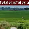 बिहार में किसानों का खेती से हो रहा मोहभंग! यही हाल रहा तो रोटी-दाल तक ...
