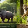 Rhinoceros And Bengal Tiger In Delhi Zoo,दिल्ली के चिड़ियाघर में ...