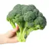 Best Cooking Method For Broccoli,ब्रोकली काटते वक्त फैल जाता है कचरा ...