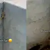 Frog Motivational Viral Video,Ouch! आखिर मेंढक के फेल होने पर क्यों ...