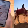 Woman Books Camel Ride In Deserts Of Dubai,रेगिस्तान में UBER से ऊंट ...