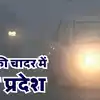MP Weather: मध्य प्रदेश में कड़ाके की ठंड का दौर; कोहरे की चादर में ...