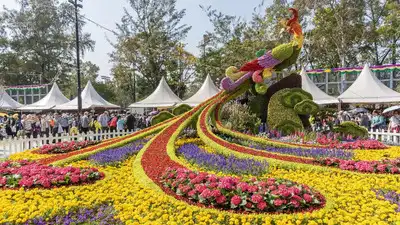 Noida फ्लावर शो 2026: फूलों से सजा 40 फीट ऊंचा केदारनाथ मंदिर, 1200 प्रजातियों का अद्भुत नज़ारा 6 Greater Noida Flower Festival 2025,तैयार हो जाइए ग्रेटर नोएडा में भी शुरू होने वाला है फ्लावर शो, सिटी पार्क में दो दिन चलेगा, घर भी ला सकते हैं पौधे - Greater Noida