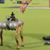 Ipl Robotic Dog,IPL का 12वां ‘खिलाड़ी’! चौके-छक्‍के नहीं लगाता, लेकिन ...