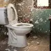 Toilet Seat Explodes Reason And Cleaning Precautions,टॉयलेट सीट में ...